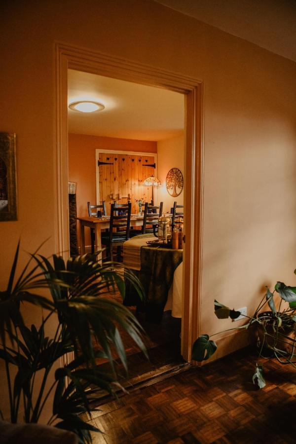Bed and Breakfast Holwell Holistic Retreat Barnstaple Exterior foto