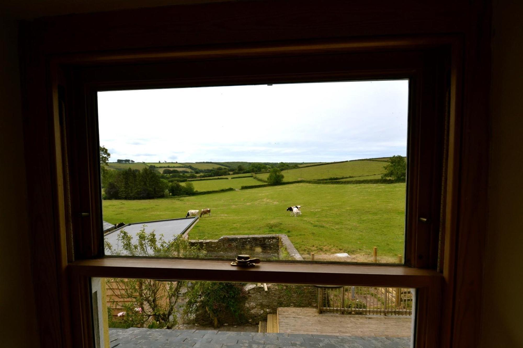 Bed and Breakfast Holwell Holistic Retreat Barnstaple Habitación foto